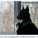 1.23.030225